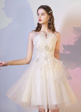 Champagne Tulle with Lace Short Homecoming Dress