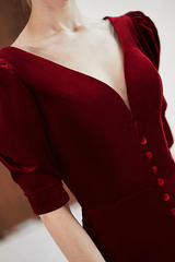 Wine Red Velvet V-neckline Long Evening Dress