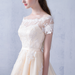 Champagne A-line Tulle with Lace Short Party Dress
