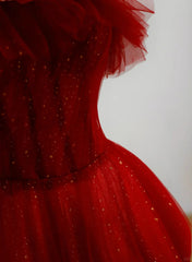 Wine Red Tull A-line Scoop Long Prom Dress