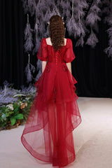 Wine Red Tulle High Low Short Sleeves Party Dress