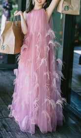Dreamy Feather Mesh Maxi Dress