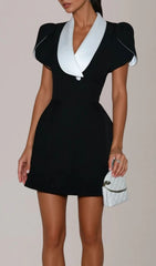 Vrythia Chic Contrast Collar Satin Mini Dress