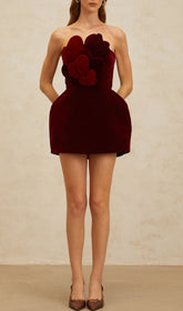 Ivanna Red Velvet Heart Mini Dress