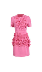 Desma Fuchsia 3D Floral Mini Dress