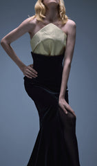 The Enchantress Gown