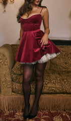 Brinda Burgundy Velvet Mini Dress