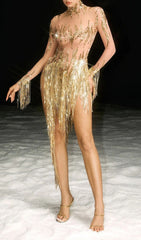 Nathifa Dazzling Gold Rhinestone Fringe Mesh Mini Dress