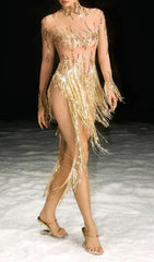 Nathifa Dazzling Gold Rhinestone Fringe Mesh Mini Dress