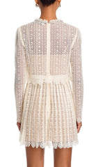 Chic Organza Lace Mini Dress