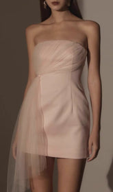 Chantoya Strapless Mesh Mini Dress