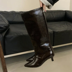 Aneikeh Autumn Street Style Sexy Pointed Toe Thin Low Heels Knee-High Boots Casual Party Shoes Long Botas Mujer