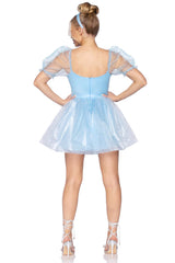 Frosted Organza Princess Costume Dress