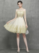Champagne Knee Length Tulle with Lace Party Dress