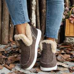 Suede Lace-Up Snow Boots Lace-up Woman Warm Fur Plush Lady Casual Ankle Boots Female Chunky Sneaker