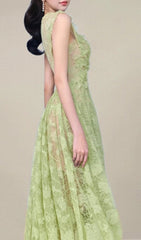 Hisaye Enchanting Lace & Mesh Pleated Midi Dress