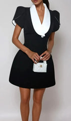 Vrythia Chic Contrast Collar Satin Mini Dress