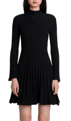 Raffie Ribbed Knit Flared Mini Dress
