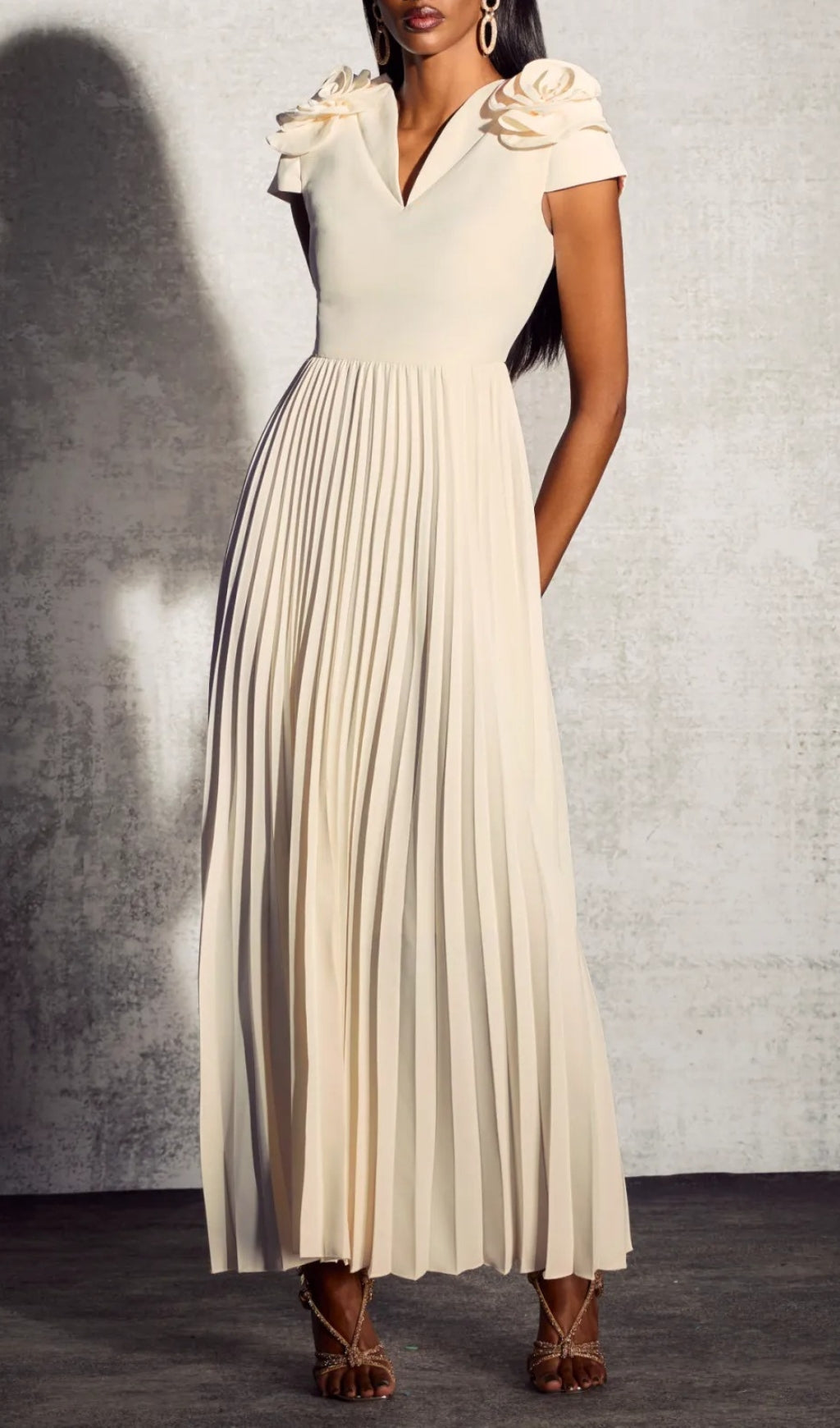 Cadhla Elegant Floral Appliqu V-Neck Pleated Maxi Dress