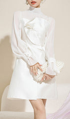 Annica White Mesh Long Sleeve Mini Dress