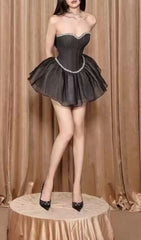 Iowa Sparkle Strapless Corset Mesh Mini Dress