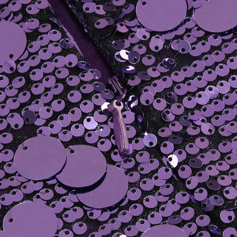 Isabela Purple Sequin Mini Dress