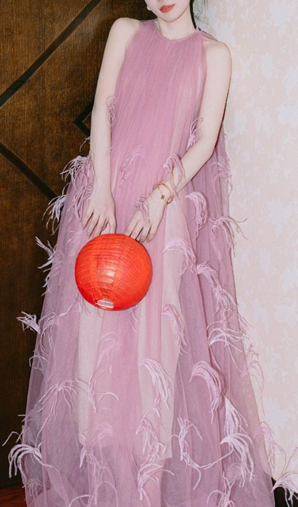 Dreamy Feather Mesh Maxi Dress
