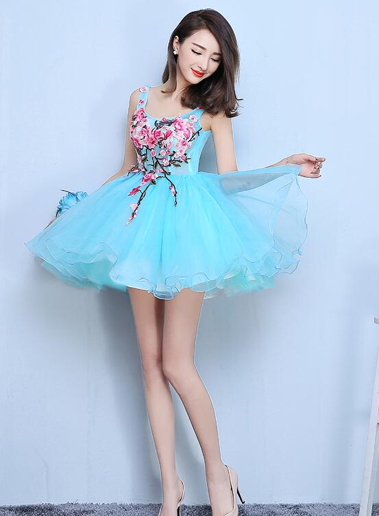 Blue Organza Mini Party Dress with Embroidery Homecoming Dress