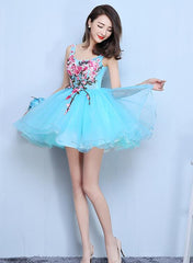 Blue Organza Mini Party Dress with Embroidery Homecoming Dress