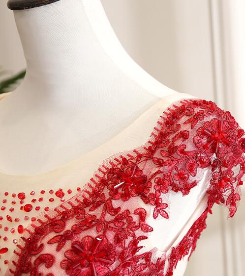 Gorgeous Champagne Tulle Long Sweet 16 Dress with Red Lace