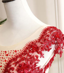 Gorgeous Champagne Tulle Long Sweet 16 Dress with Red Lace