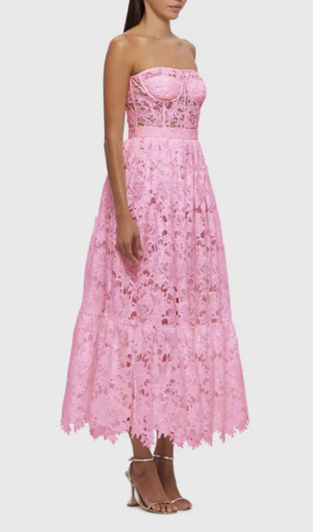 Aris Rose Pink Lace Bustier Maxi Dress