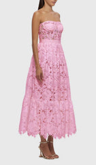 Aris Rose Pink Lace Bustier Maxi Dress