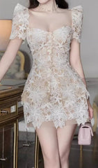 Eivin Elegant Embroidered Lace Mini Dress