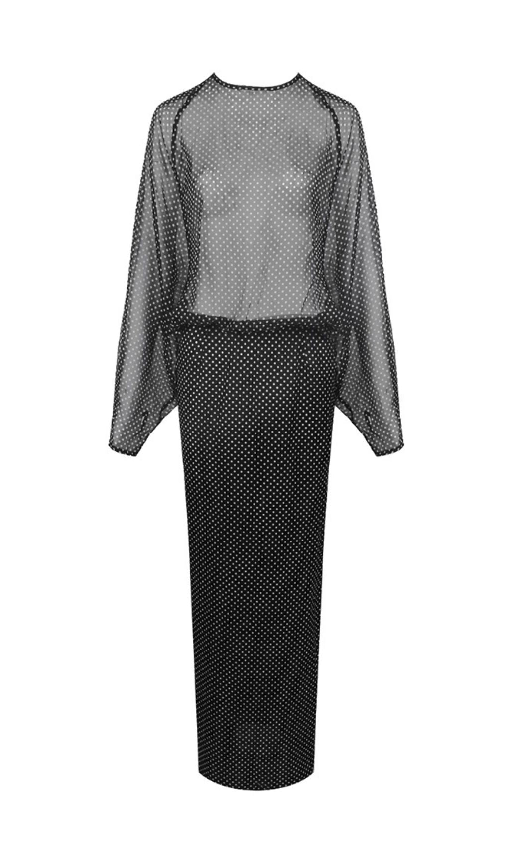Chic Sheer Polka Dot Long Sleeve Maxi Dress