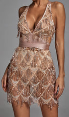 Dazzling Champagne Sequin Backless Mini Dress with Fringe