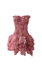 Ernesto Blushing Blooms Strapless Mini Dress