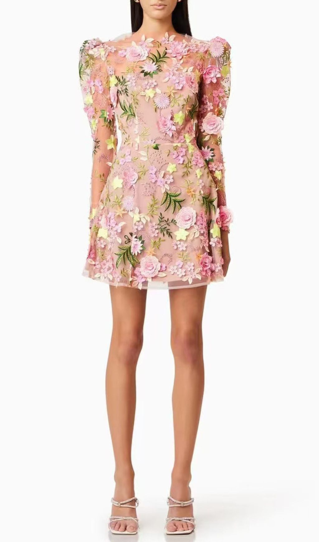 Emrys "In Bloom" Floral Embroidered Puff Sleeve Mini Dress