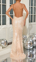 Chante Dazzling Sequin & Pearl Maxi Dress