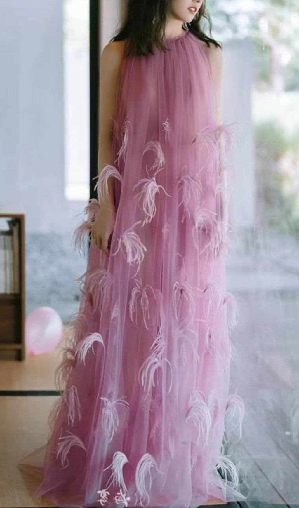 Dreamy Feather Mesh Maxi Dress