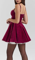 Brinda Burgundy Velvet Mini Dress