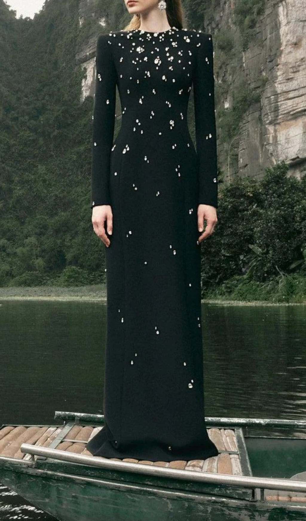 Chasen Black Crystal Embellished Maxi Gown