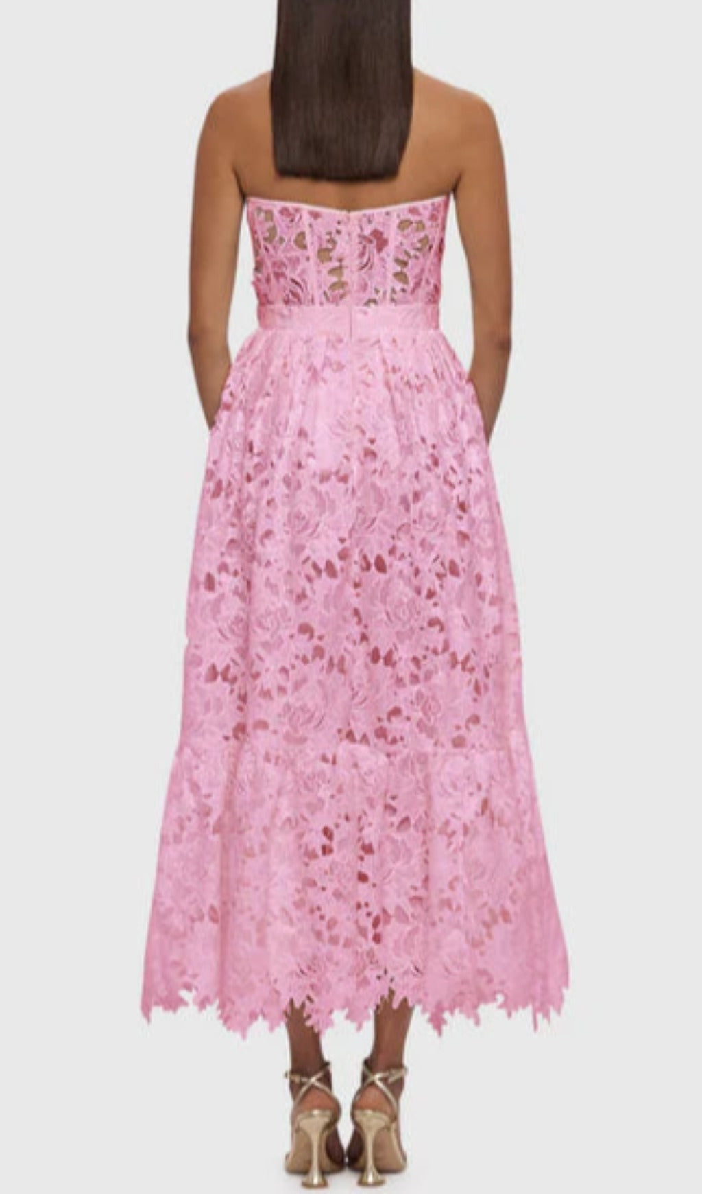Aris Rose Pink Lace Bustier Maxi Dress