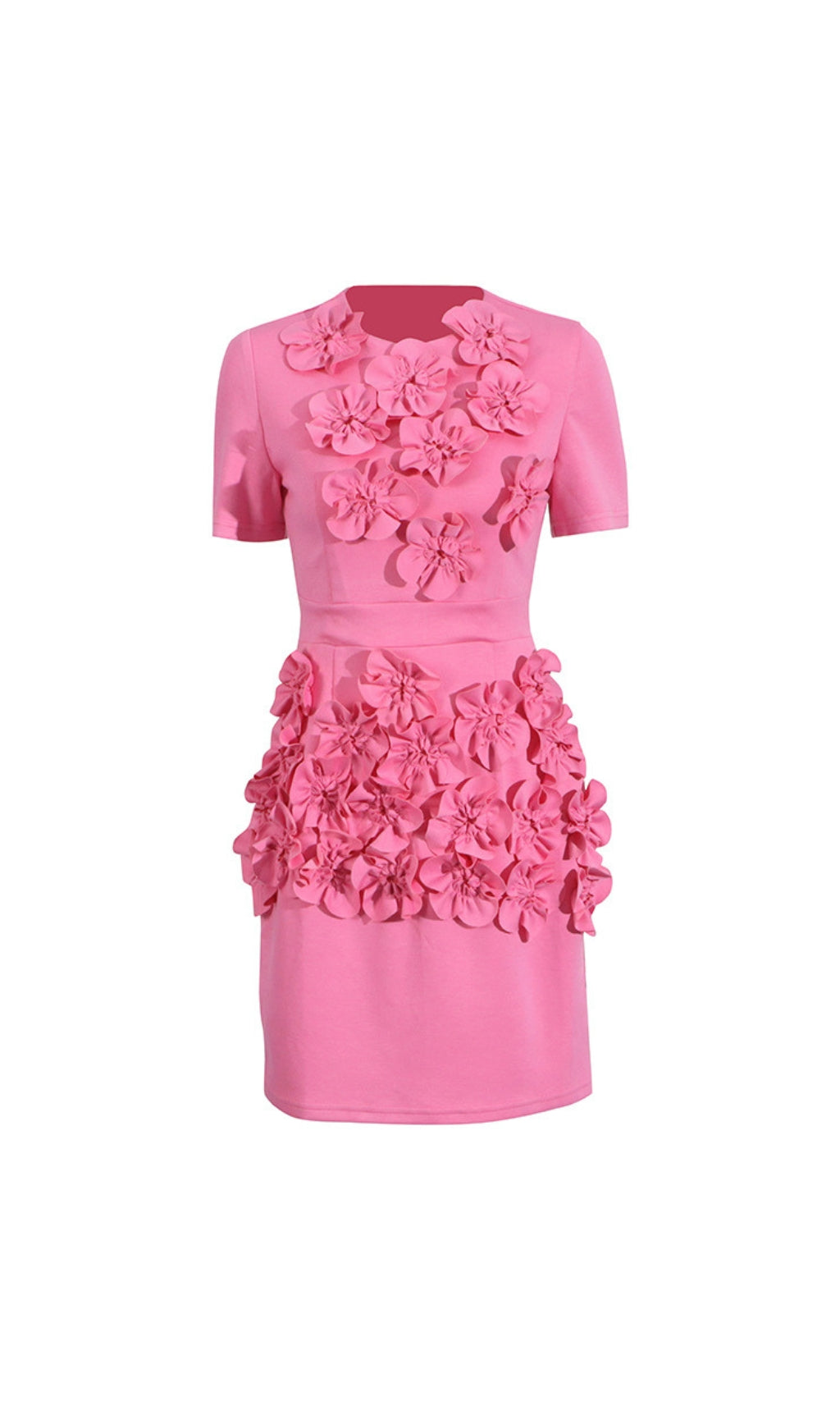 Desma Fuchsia 3D Floral Mini Dress