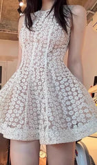 Ferdi Delicate Floral Lace Sleeveless Mini Dress