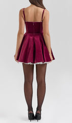 Brinda Burgundy Velvet Mini Dress