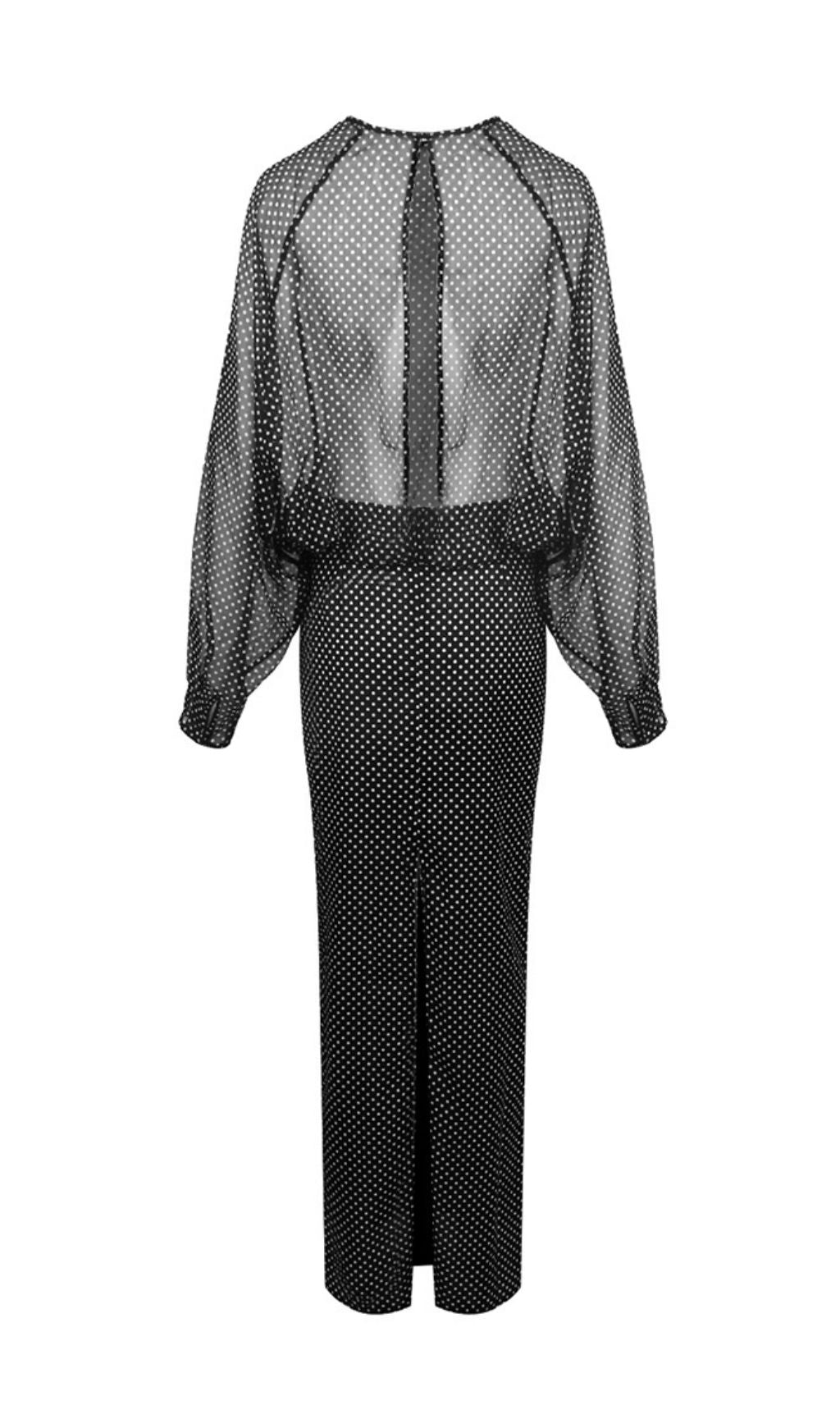 Chic Sheer Polka Dot Long Sleeve Maxi Dress