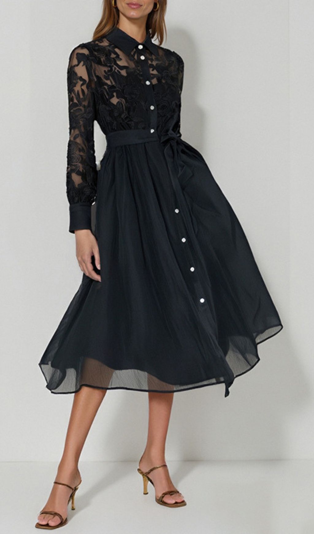 Haidee Chic Black Embroidered Sheer Sleeve Midi Dress
