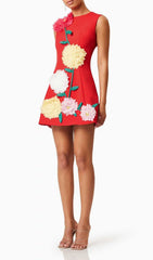 Erica Stunning Red Mini Dress with 3D Floral Appliqus