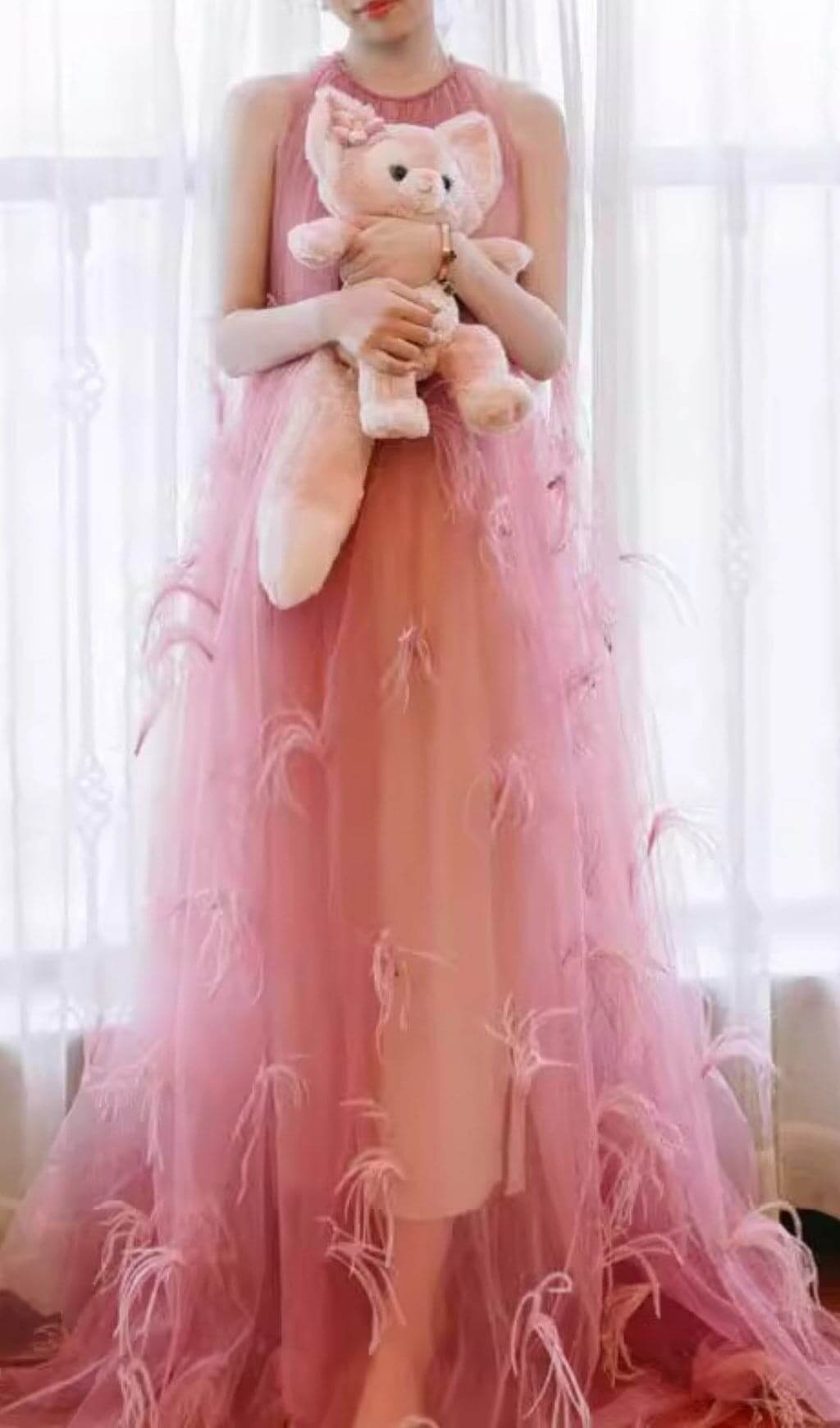 Dreamy Feather Mesh Maxi Dress